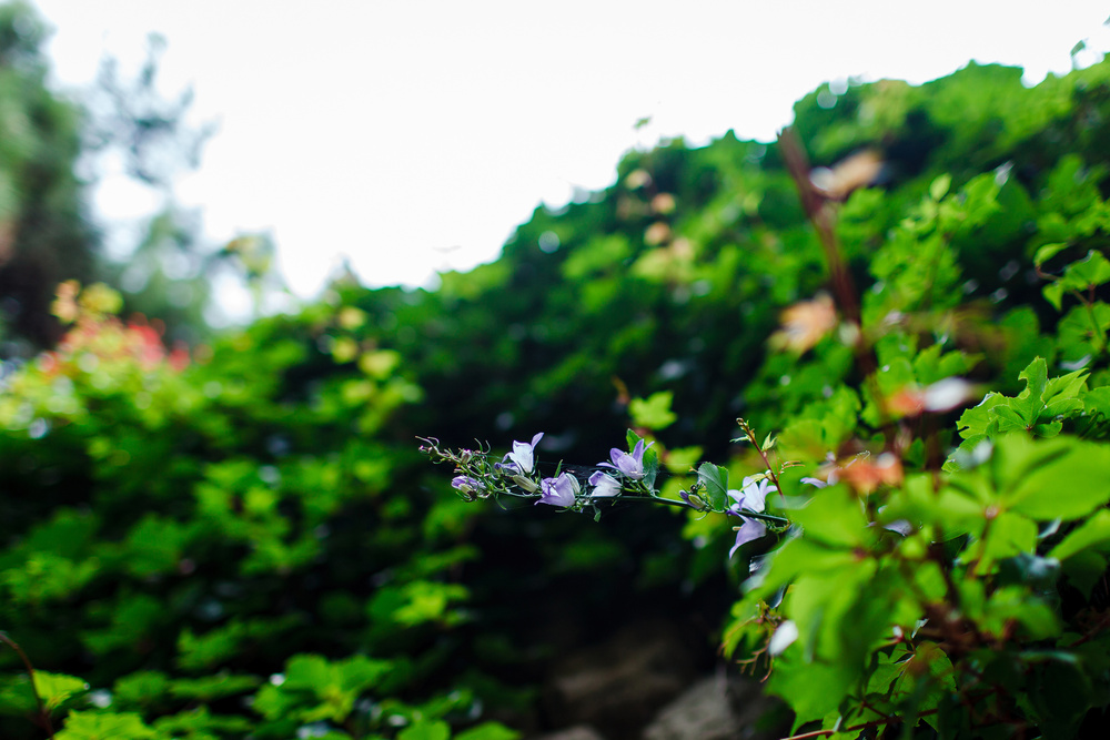 Черногория 2014 