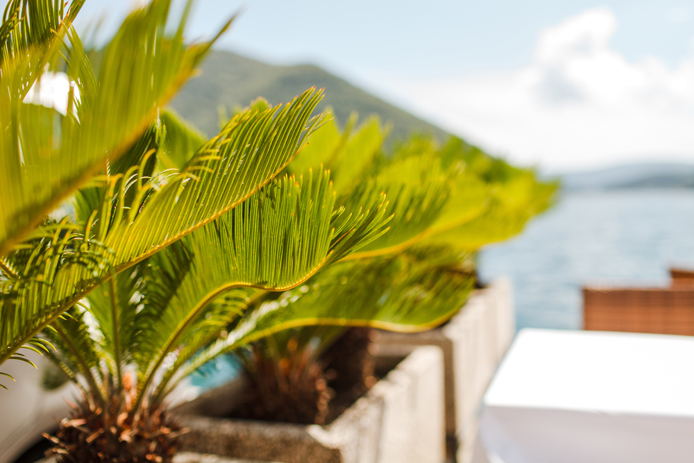 Черногория 2014 