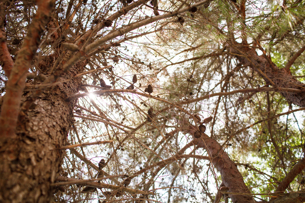 Черногория 2014 