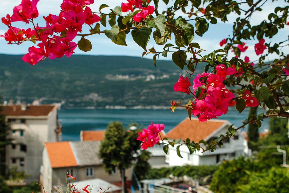 Черногория 2014 