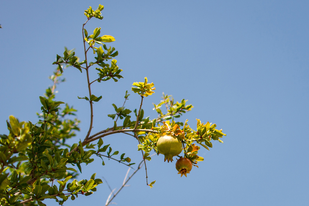 Черногория 2014 