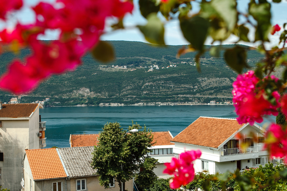 Черногория 2014 