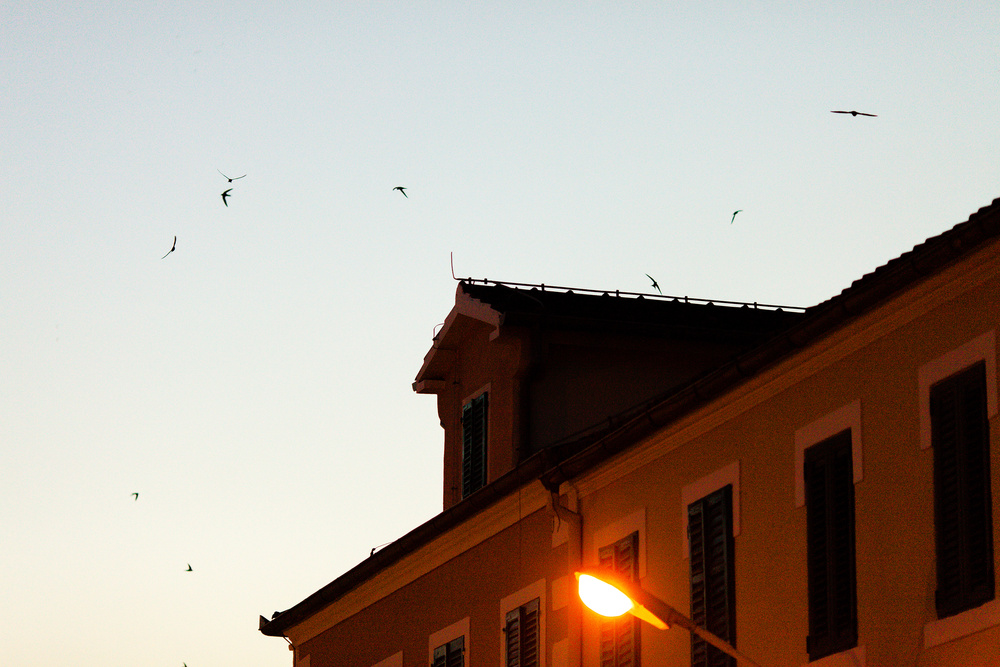 Черногория 2014 