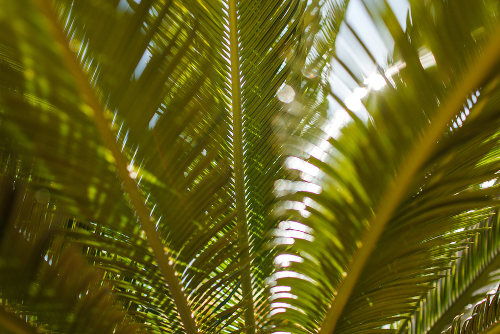 Черногория 2014 