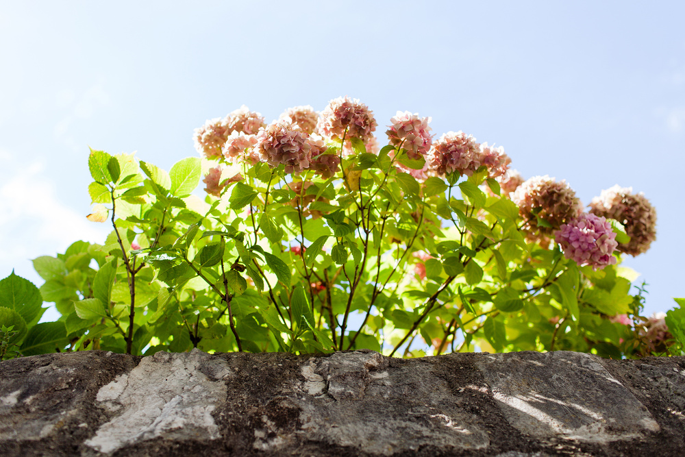 Черногория 2014 