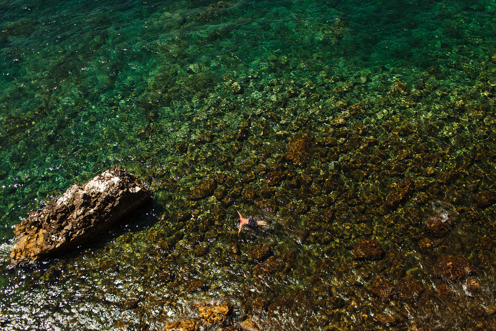 Черногория 2014 