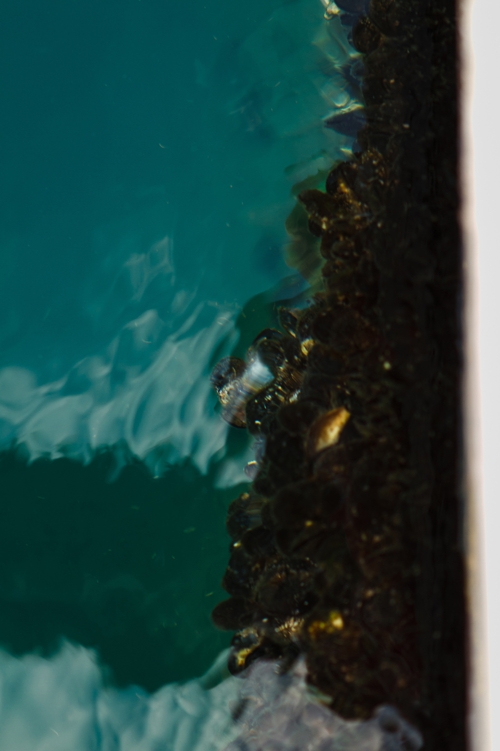 Черногория 2014 