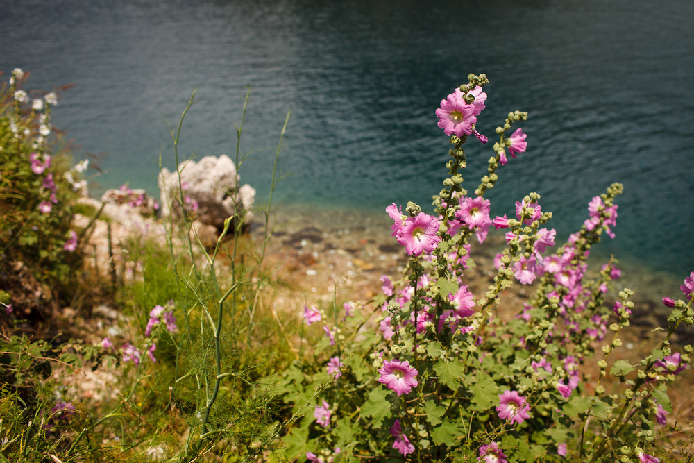 Черногория 2014 