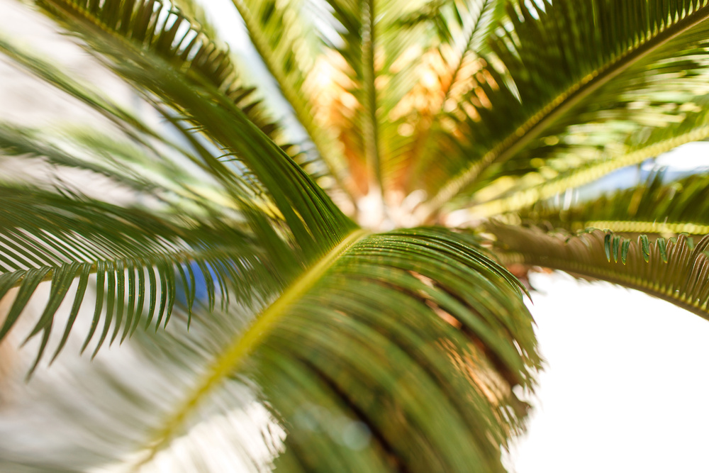 Черногория 2014 