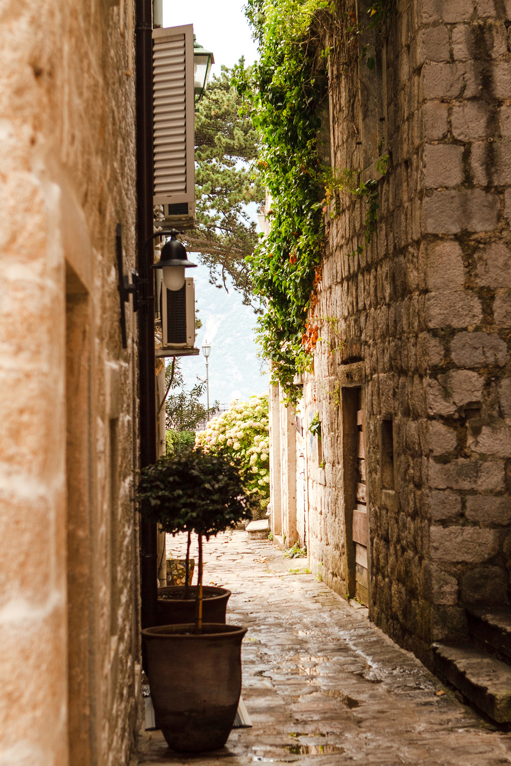 Черногория 2014 