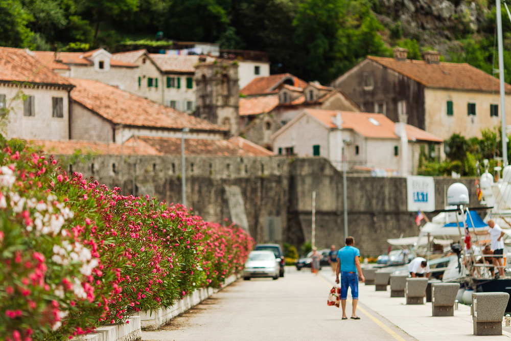 Черногория 2014 