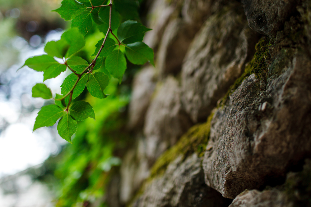 Черногория 2014 