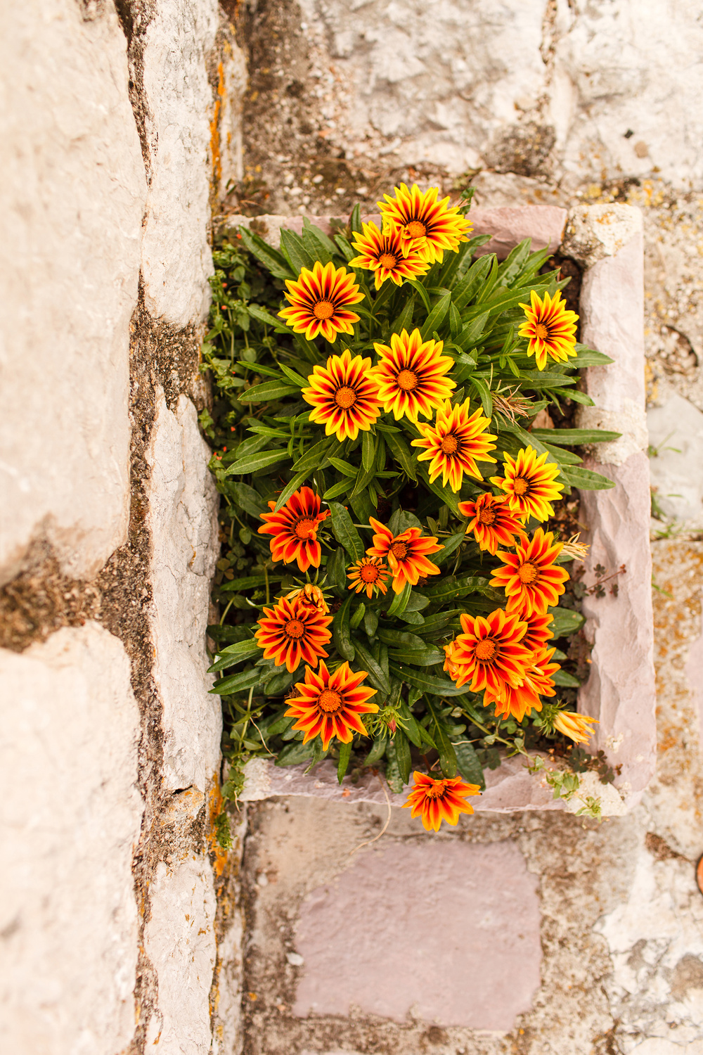 Черногория 2014 