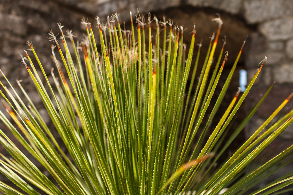 Черногория 2014 