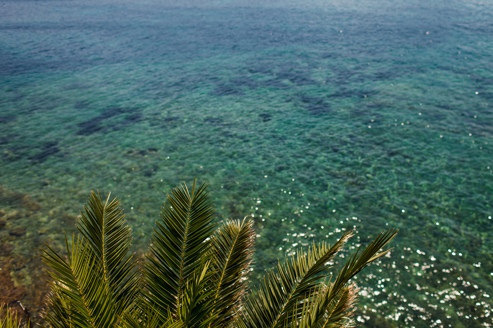 Черногория 2014 