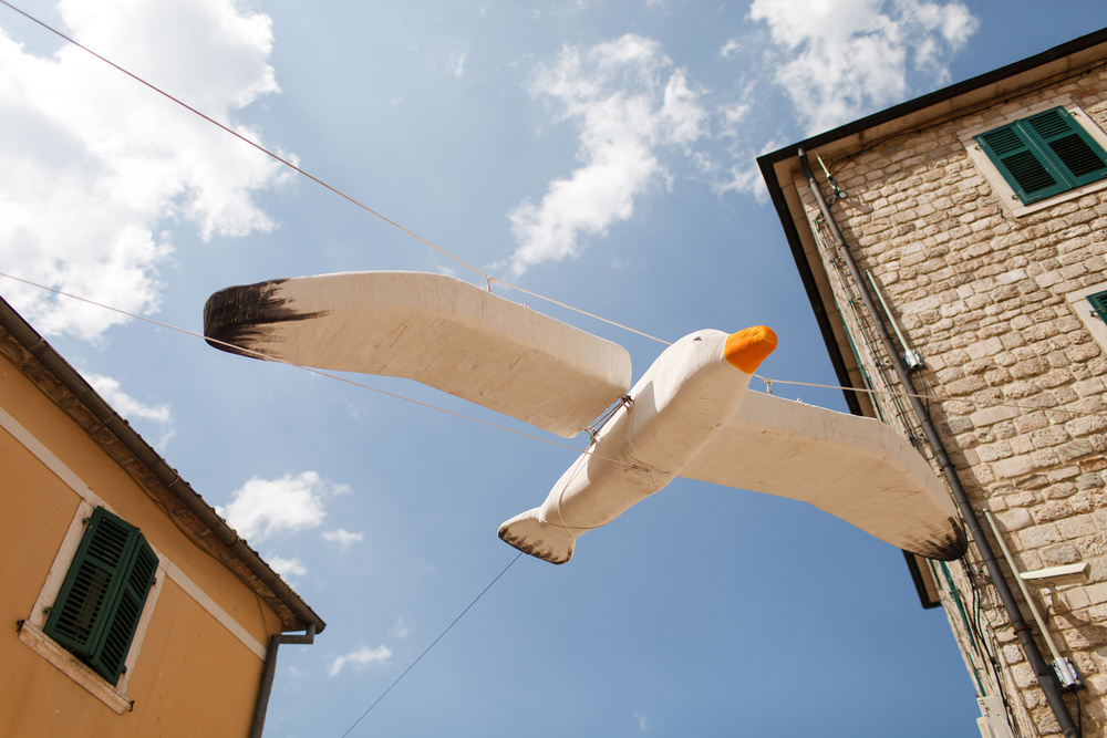 Черногория 2014 