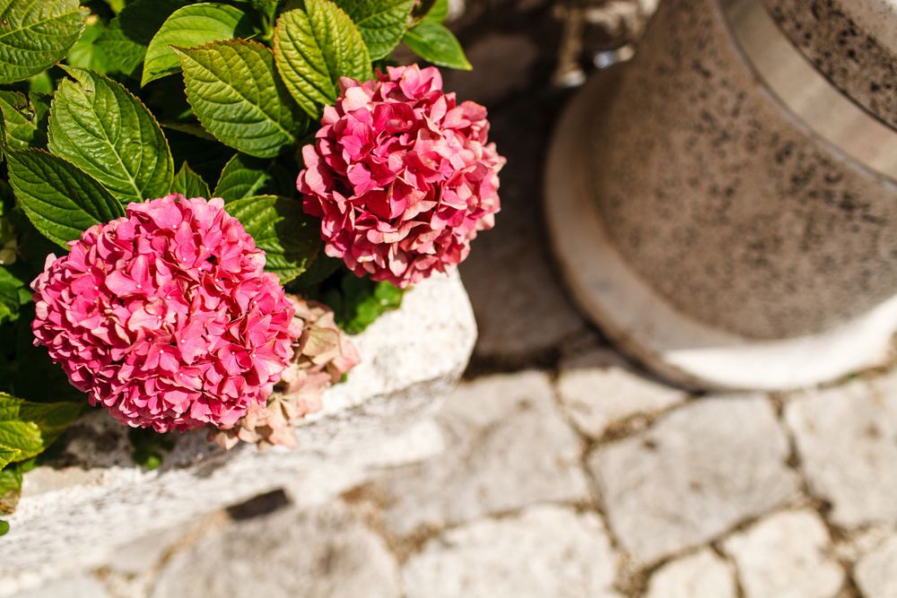 Черногория 2014 