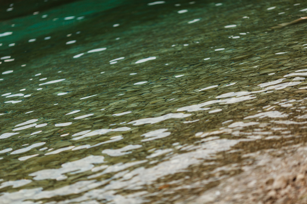 Черногория 2014 