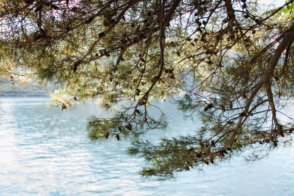 Черногория 2014 