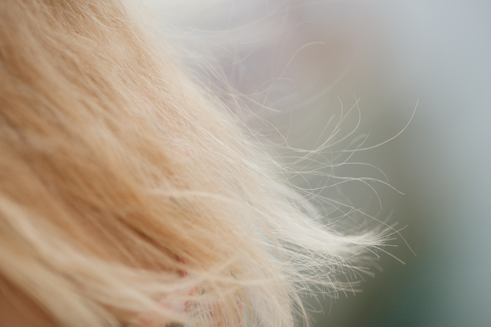 Соня в Черногории