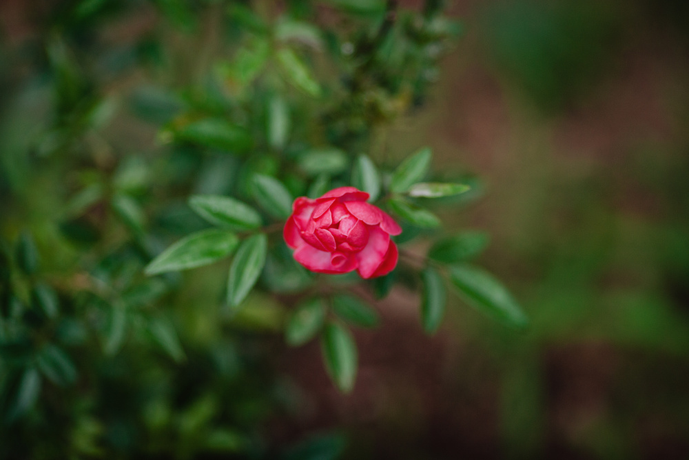 Соня в Черногории