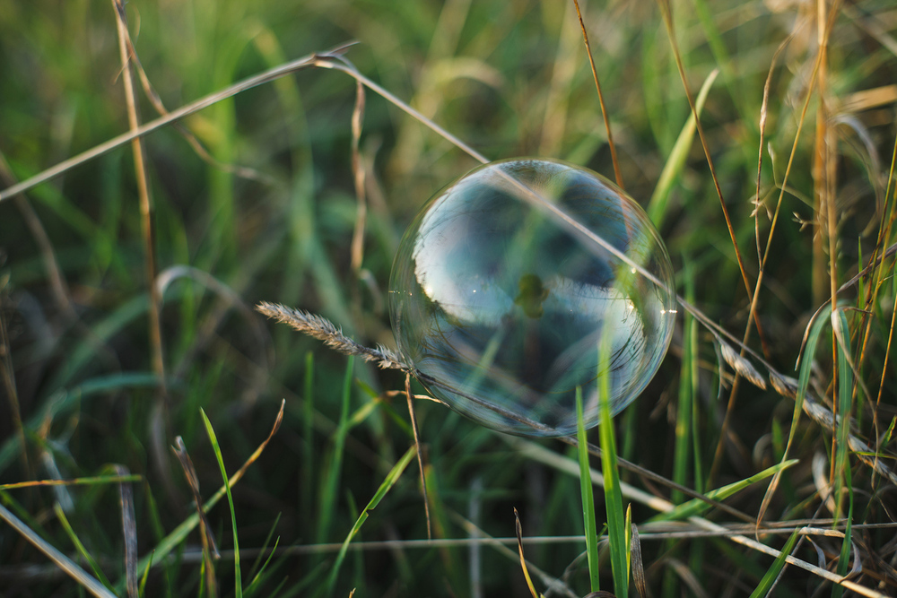 Предсвадебная съемка для Павла и Евгении