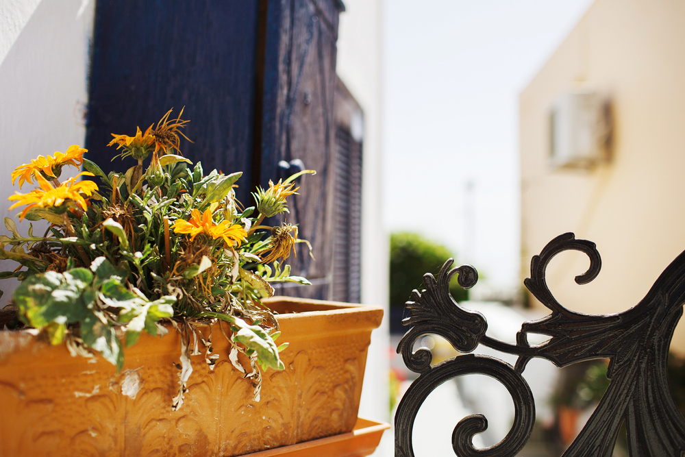 Греция. о. Санторини. июнь 2013