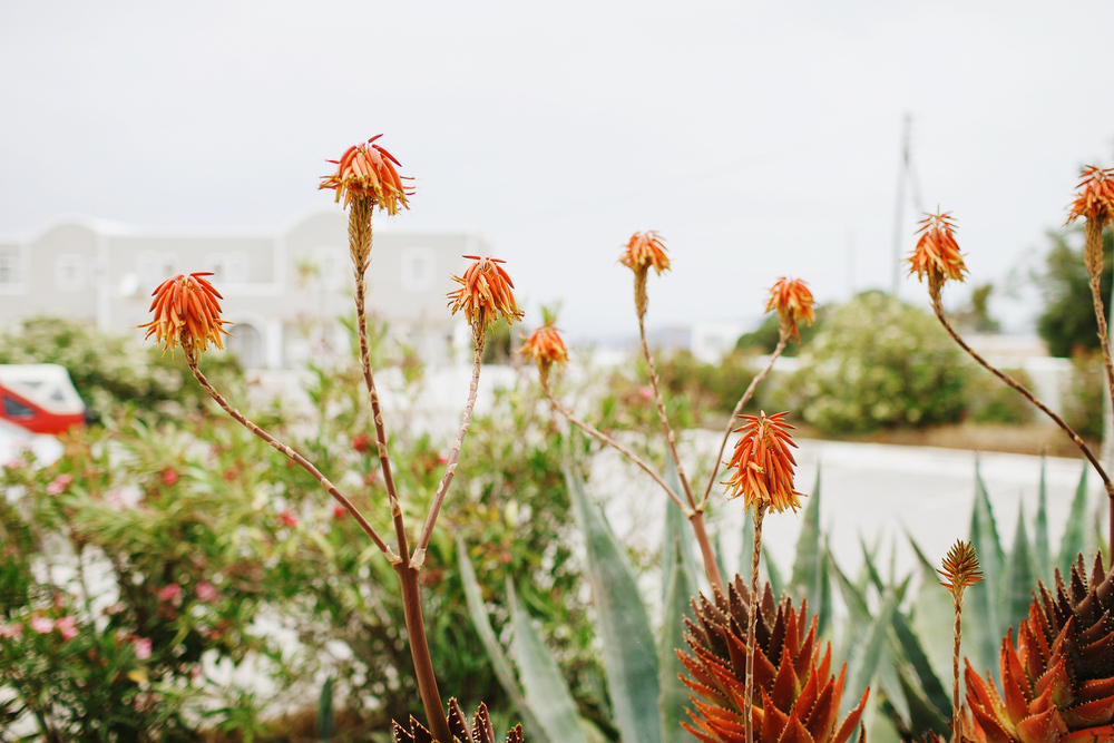 Греция. о. Санторини. июнь 2013