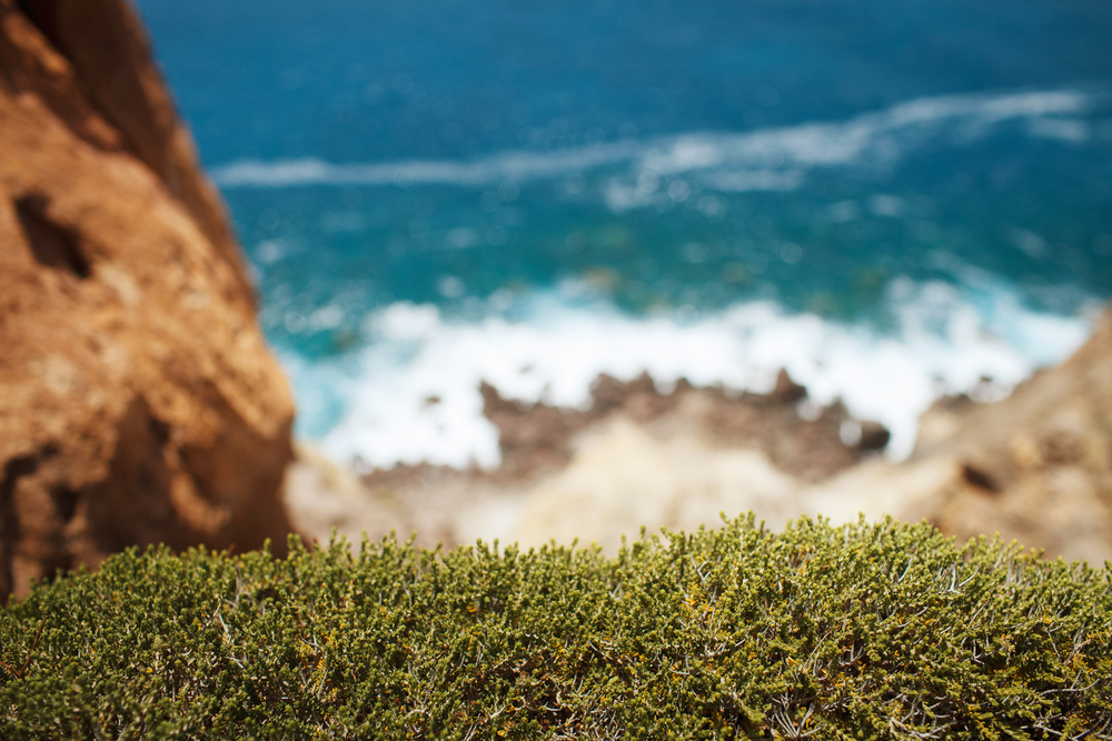 Греция. о. Санторини. июнь 2013