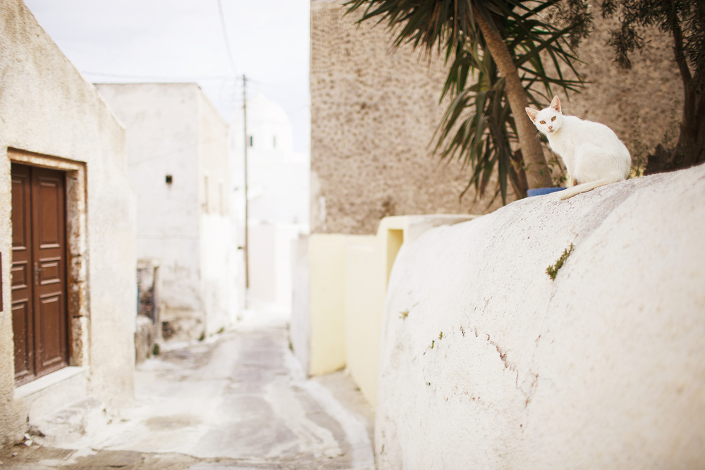 Греция. о. Санторини. июнь 2013