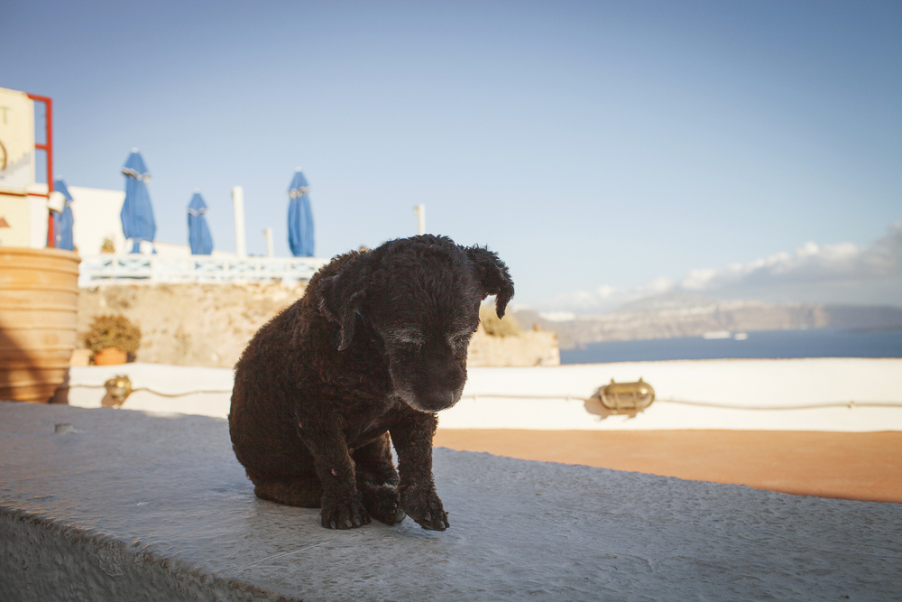 Греция. о. Санторини. июнь 2013