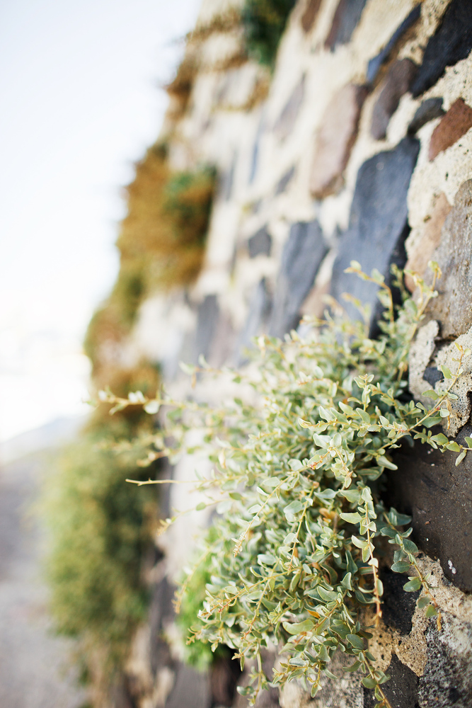 Греция. о. Санторини. июнь 2013