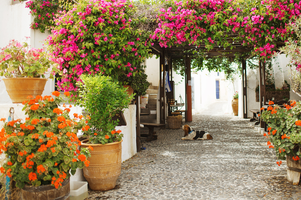 Греция. о. Санторини. июнь 2013