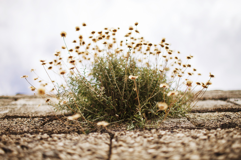 Греция. о. Санторини. июнь 2013