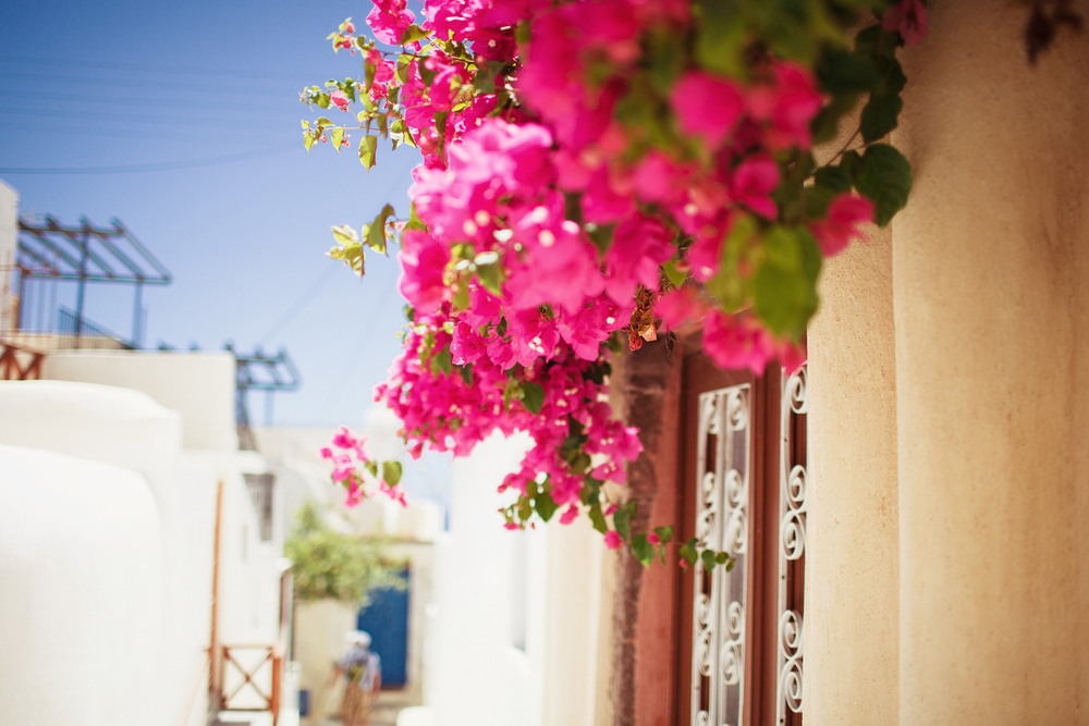 Греция. о. Санторини. июнь 2013