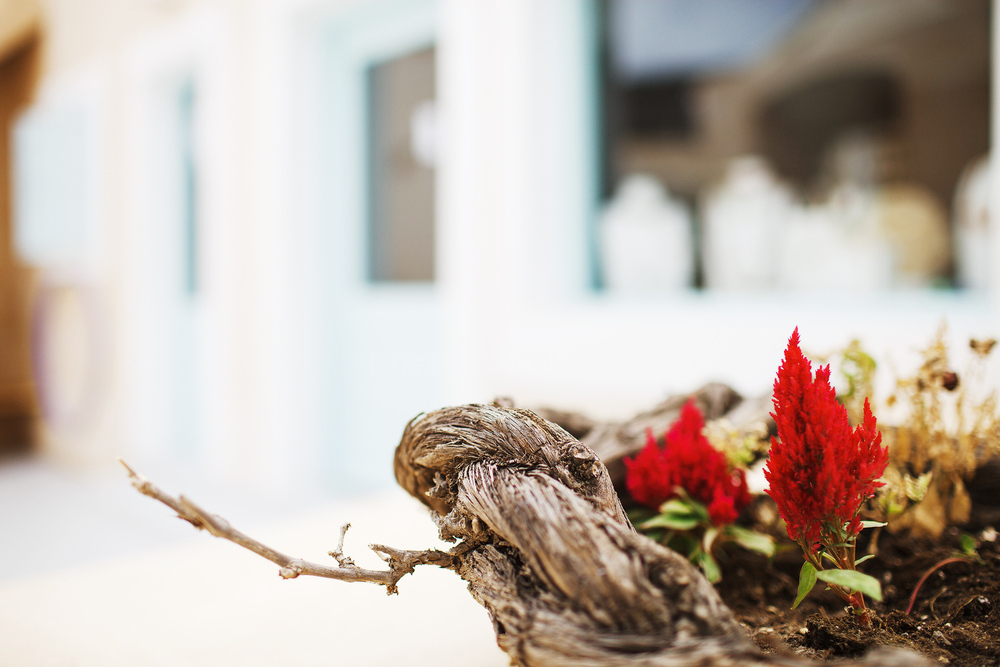 Греция. о. Санторини. июнь 2013