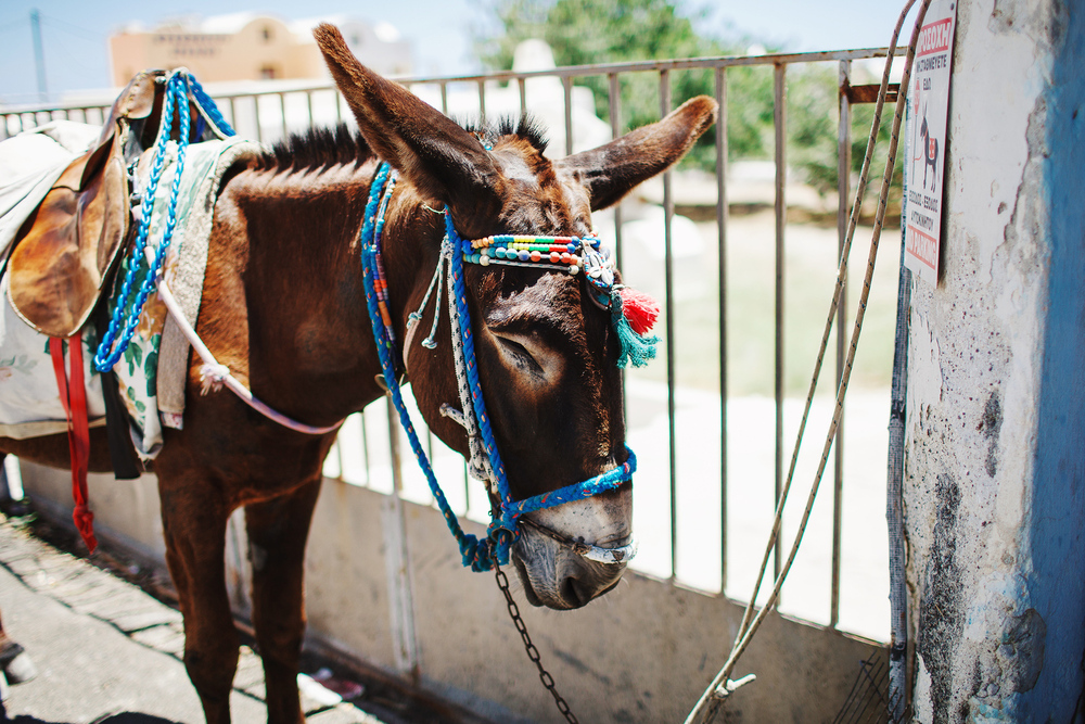 Греция. о. Санторини. июнь 2013