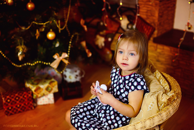 НОВОГОДНИЙ ФОТОПРОЕКТ 2014-2015
