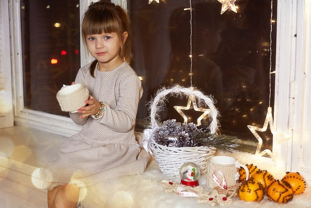 НОВОГОДНИЙ ФОТОПРОЕКТ 2017-2018