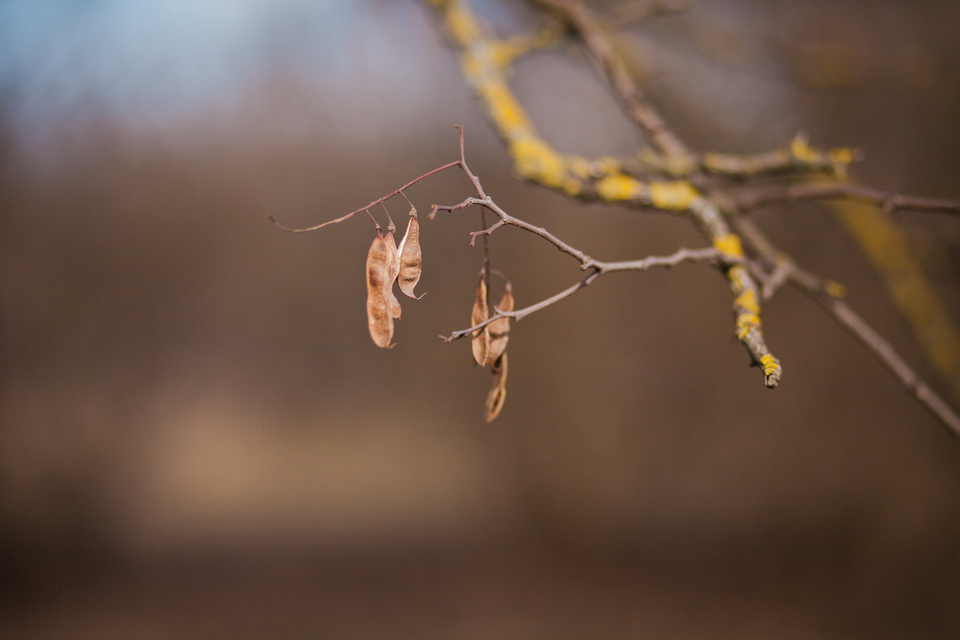 |диана+женя|