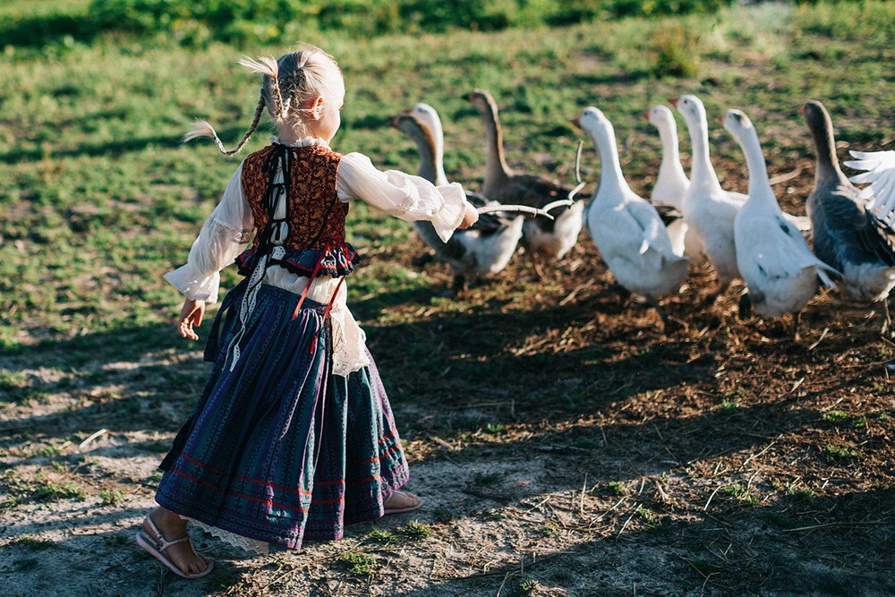 лето на ферме