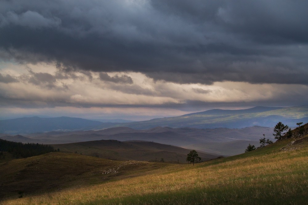 Tajeran steppe