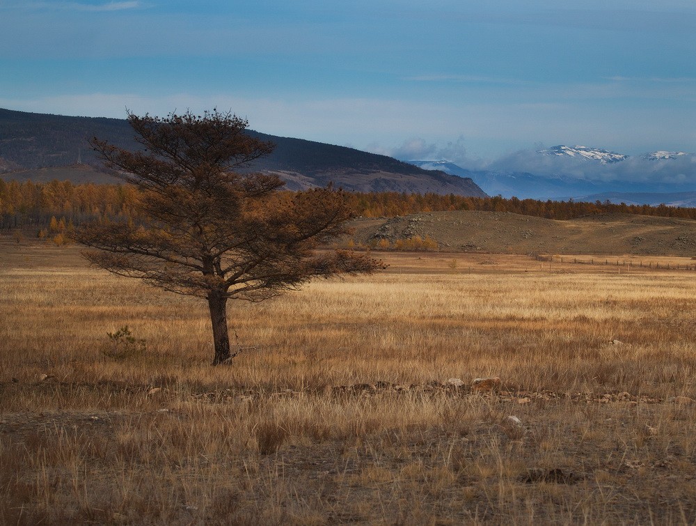 Baikal autumn