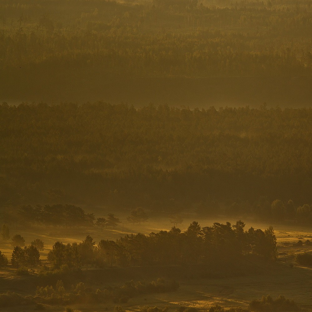 Landscapes