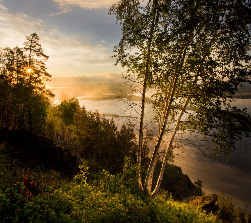 Landscapes