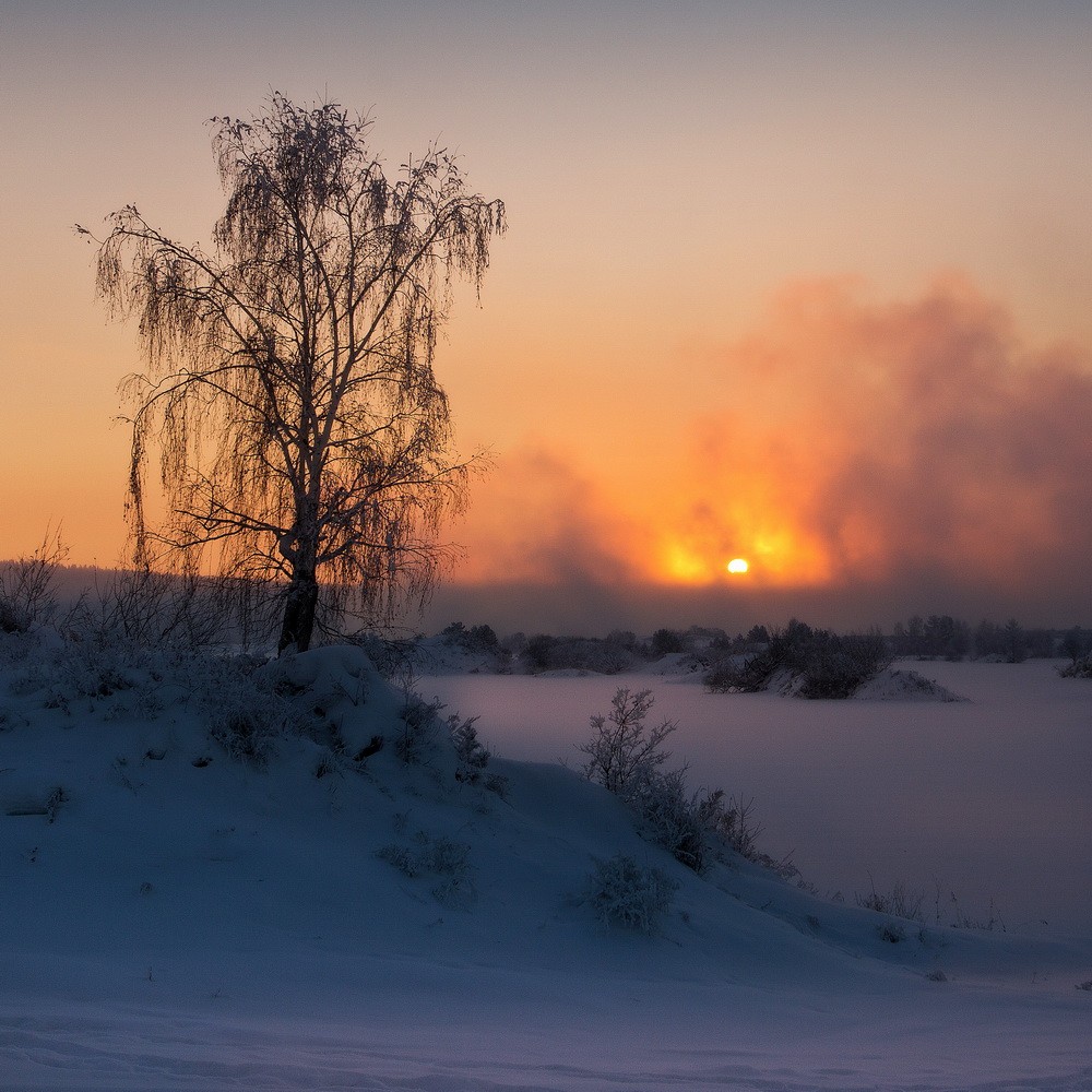 Landscapes