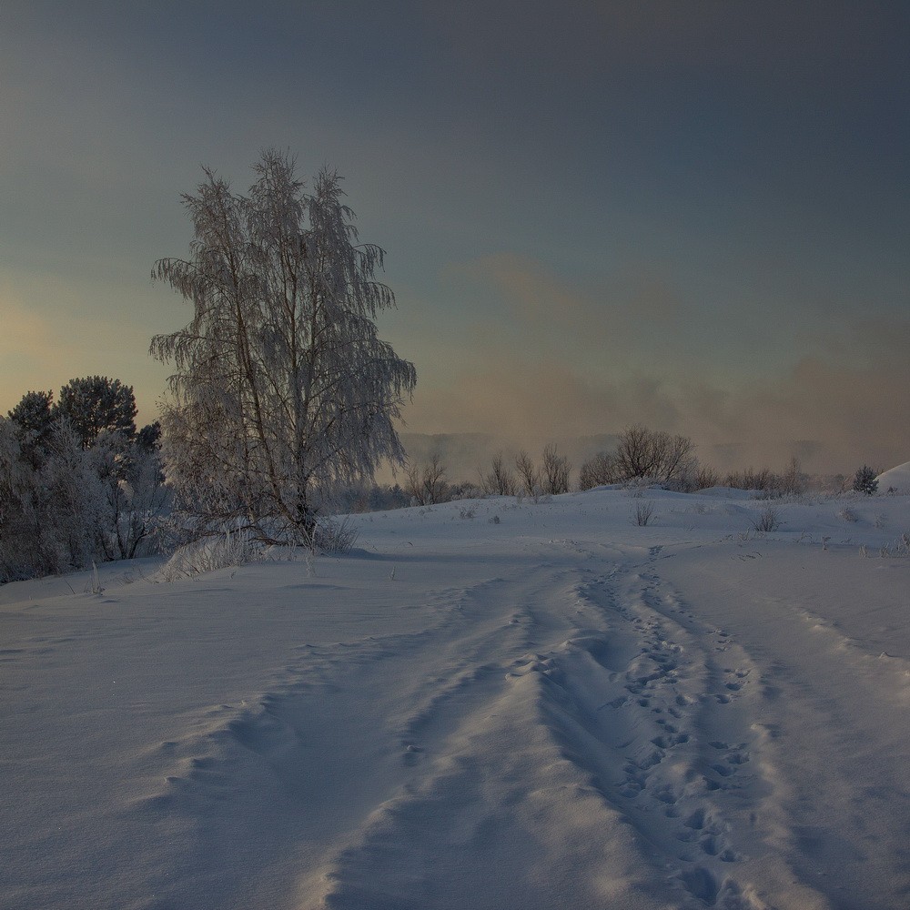 Landscapes