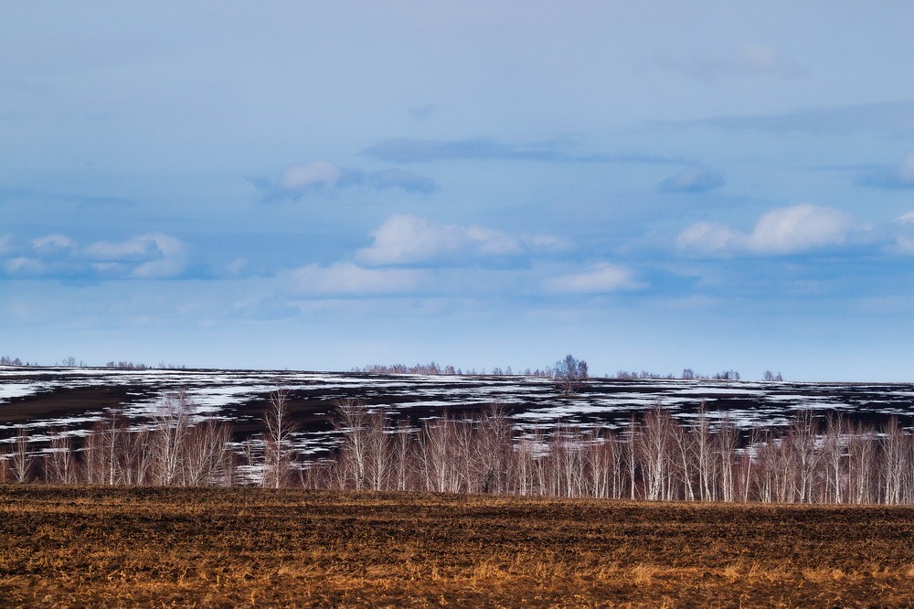 Landscapes