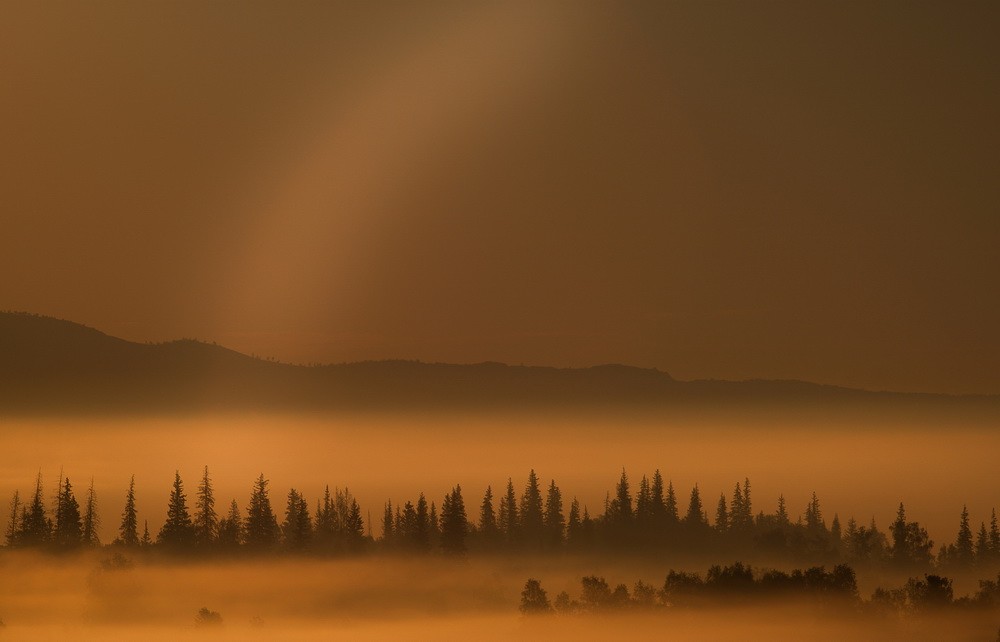 Landscapes