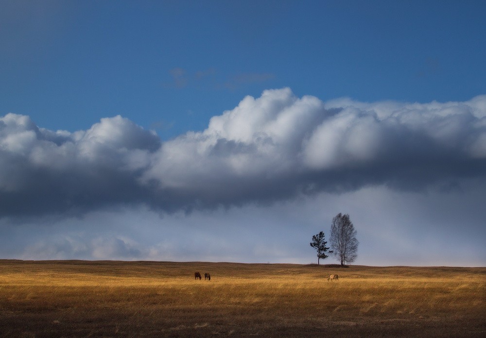 Landscapes